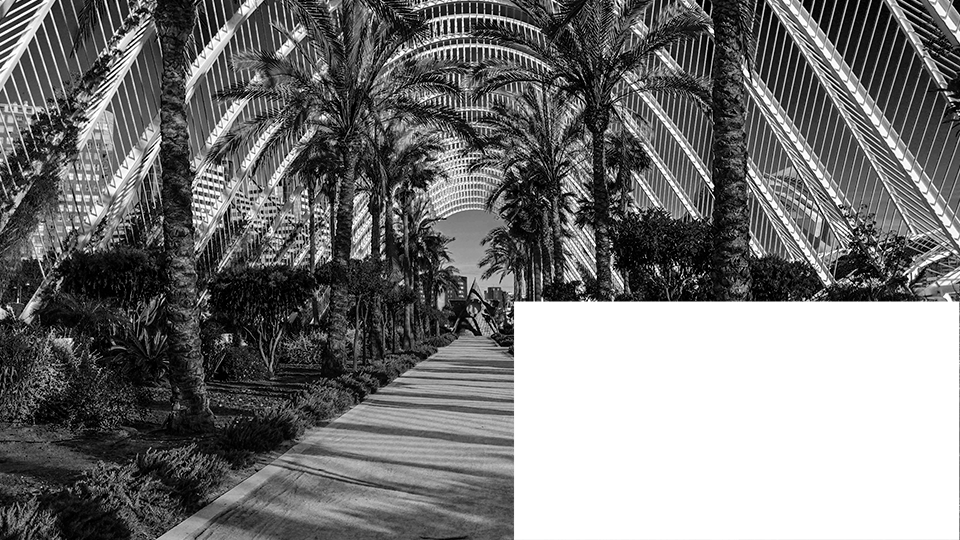 diseno-web-profesional-en-valencia